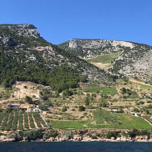 Vineyards on the island Brač, Croatia, view from the boat